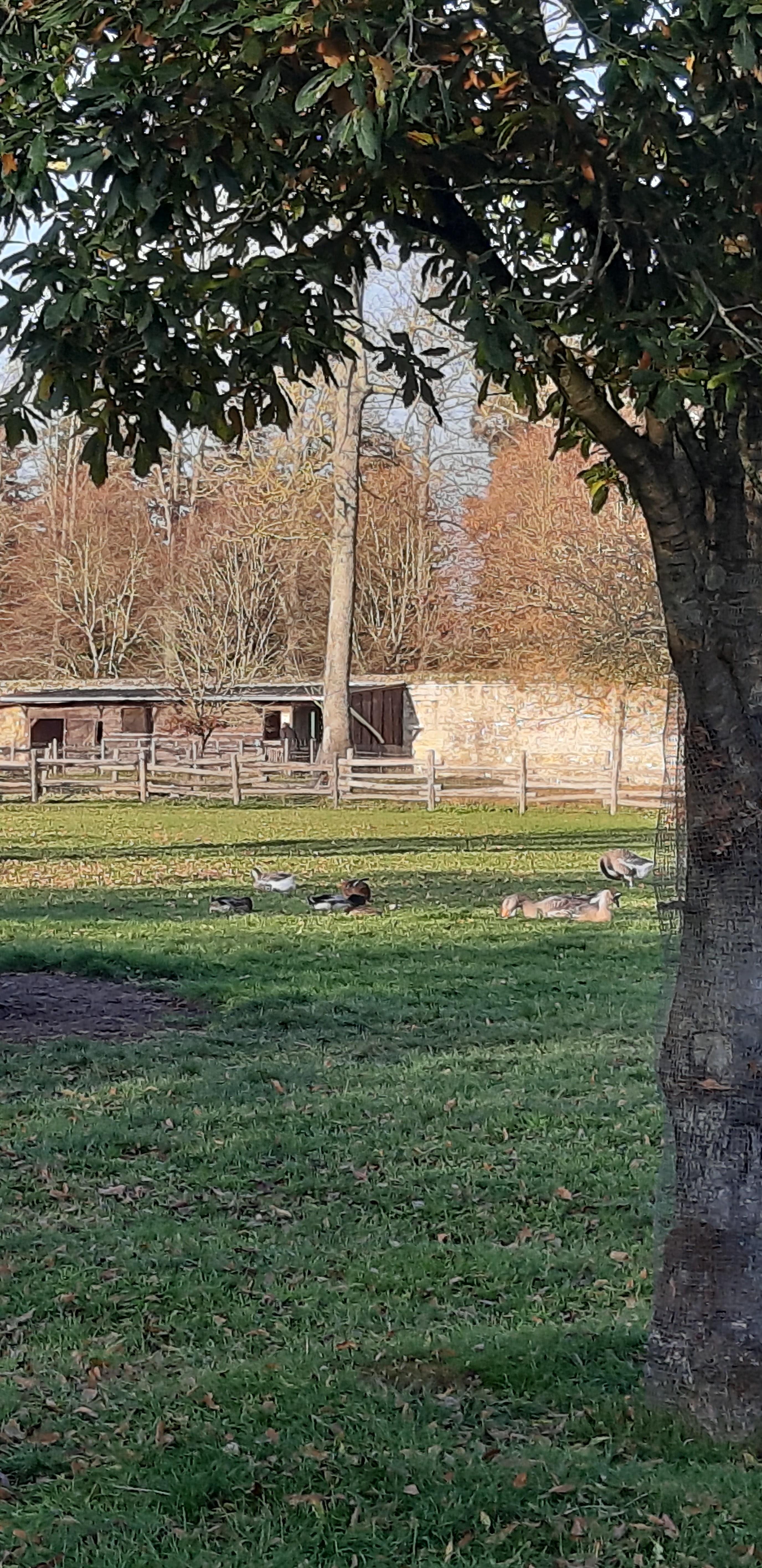 Photo n° 18 de l'avis de betty.o fait le 10/12/2019 à 11:19