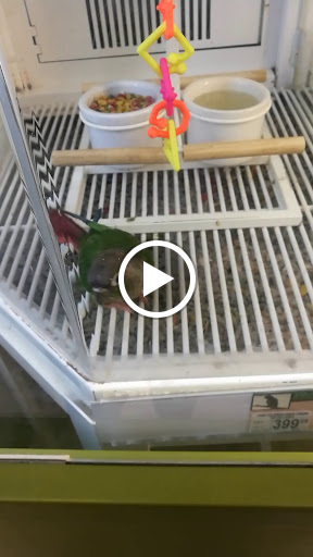 Pet Supply Store «Petco Animal Supplies», reviews and photos, 1919 El Camino Real, Mountain View, CA 94040, USA