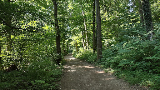 Haverford College Nature trail, 88-2 College Ln, Haverford, PA 19041