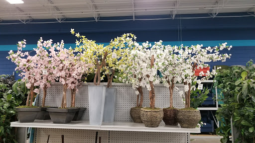 Shopping Mall «Brick Plaza Shopping Center», reviews and photos, 159 Van Zile Rd, Brick, NJ 08724, USA