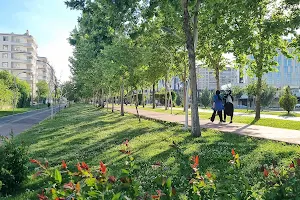 Ayşe Şan Parkı image