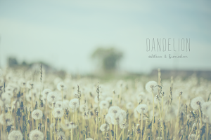 Dandelion Estetica & Bienestar image