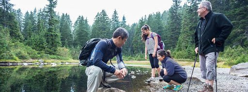 4236 36th Ave S, Seattle, WA 98118, USA