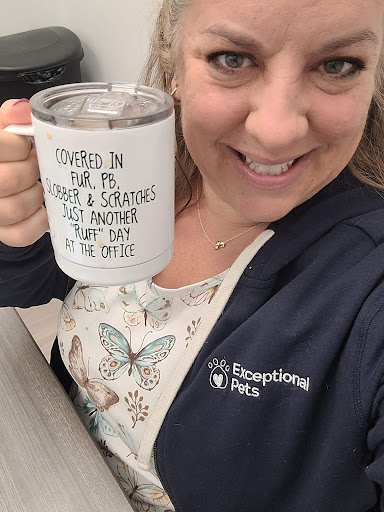 Pet Supply Store «Pet Club Cave Creek», reviews and photos, 4725 E Carefree Hwy, Cave Creek, AZ 85331, USA