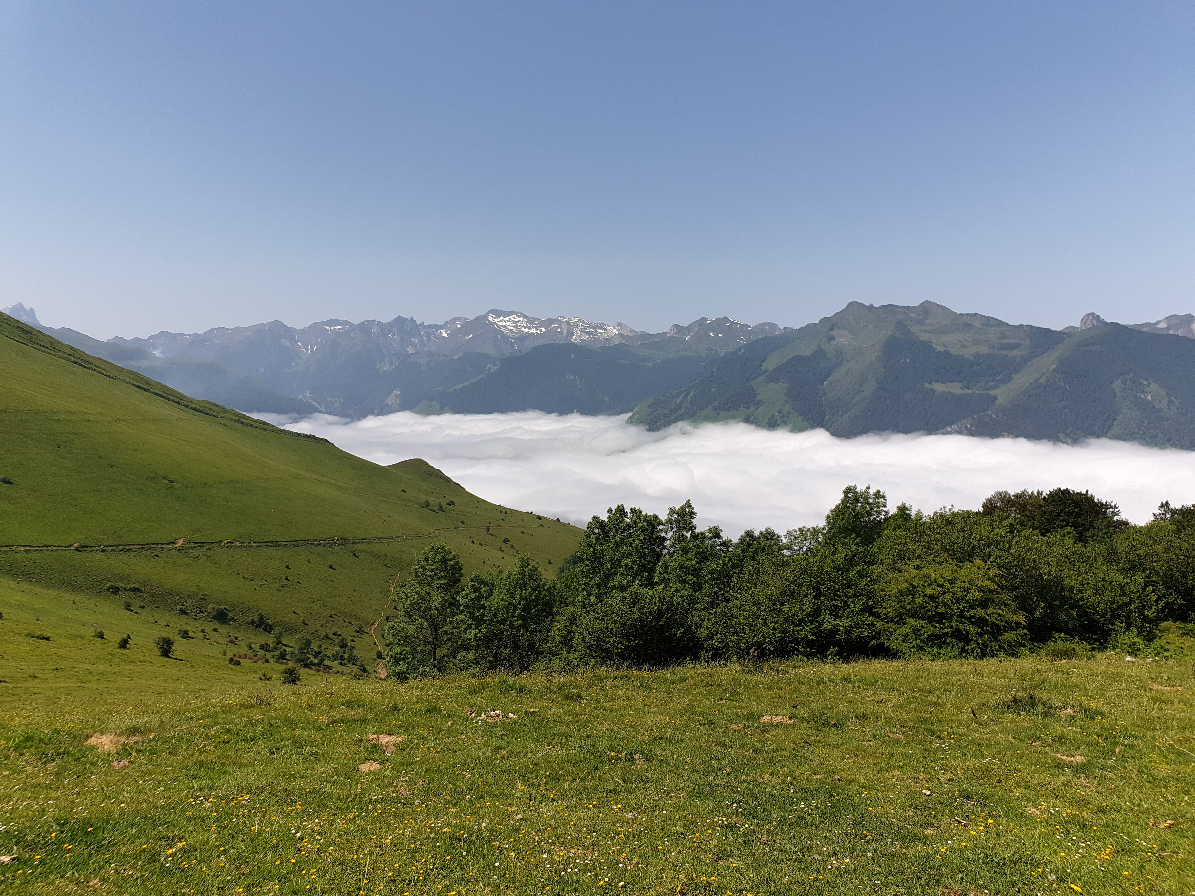 Photo n° 1 de l'avis de Gilles.o fait le 30/06/2019 à 11:53