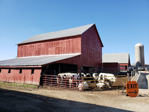 Cattle farm Ann Arbor