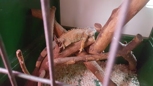 Museum «Queens County Farm Museum», reviews and photos, 73-50 Little Neck Pkwy, Queens, NY 11004, USA