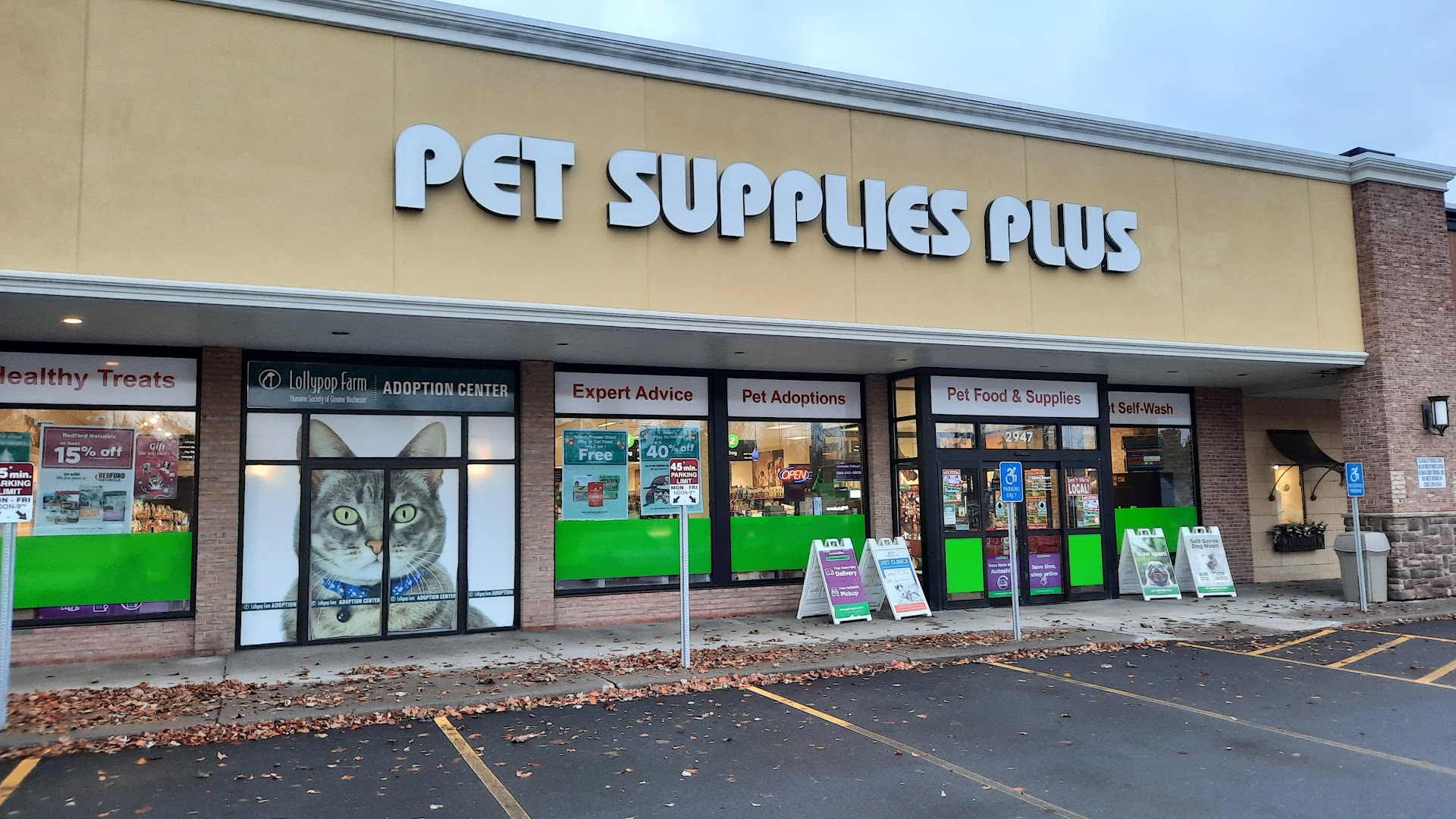 Pet Supplies Plus - Brighton NY