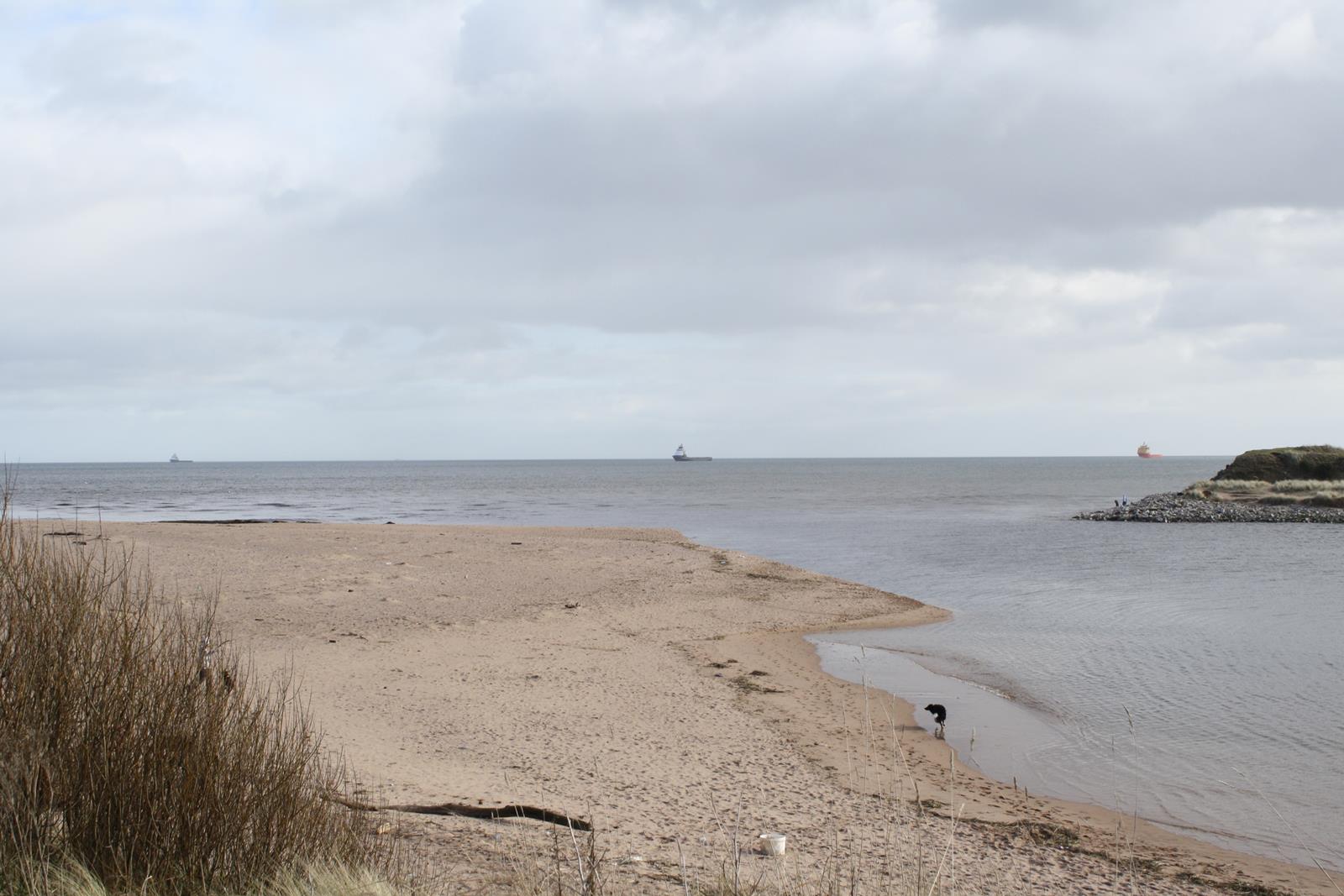 North Donmouth Beach'in fotoğrafı - tatil için iyi evcil hayvan dostu nokta