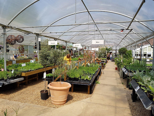 Reviews of The Herb Farm in Reading - Landscaper