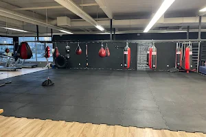 Kampfsportgym Koblenz image