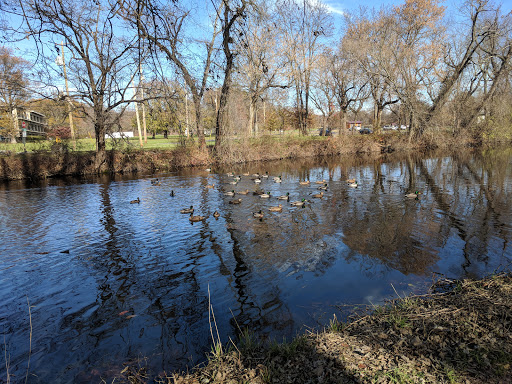 Park «Longford Park and Reynolds Dog Park», reviews and photos, 1000 Longford Rd, Phoenixville, PA 19460, USA