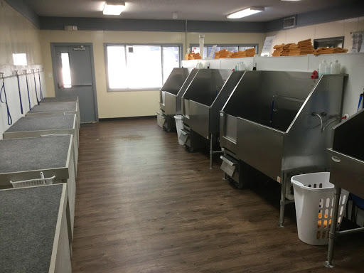 Pet Groomer «U Dirty Dog», reviews and photos, 232 Stevens Entry, Peachtree City, GA 30269, USA