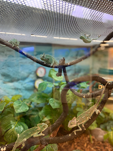 Pet Supply Store «Petco Animal Supplies», reviews and photos, 1933 South Rd, Poughkeepsie, NY 12601, USA