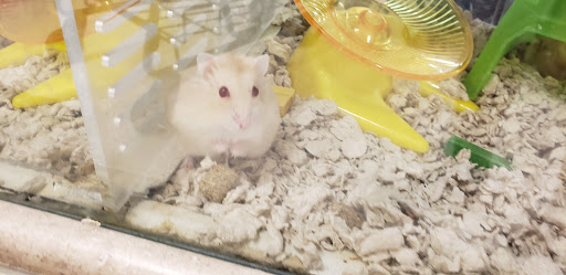 Pet Supply Store «Petco Animal Supplies», reviews and photos, 1624 Governors Square Blvd, Tallahassee, FL 32301, USA