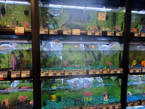 Pet Supply Store «PetSmart», reviews and photos, 4400 Fort Jackson Blvd #300, Columbia, SC 29209, USA