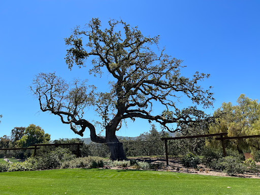 Country Club «Los Altos Golf & Country Club», reviews and photos, 1560 Country Club Dr, Los Altos, CA 94024, USA