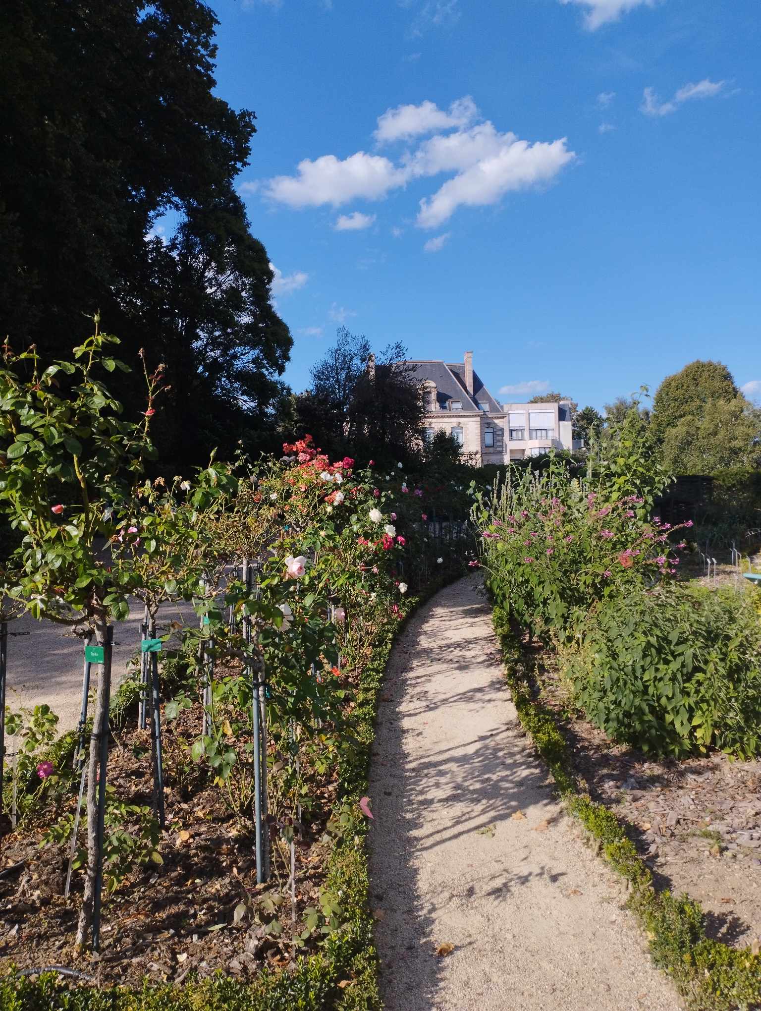 Photo n° 2 de l'avis de M.Plsk17. fait le 30/09/2023 à 16:46