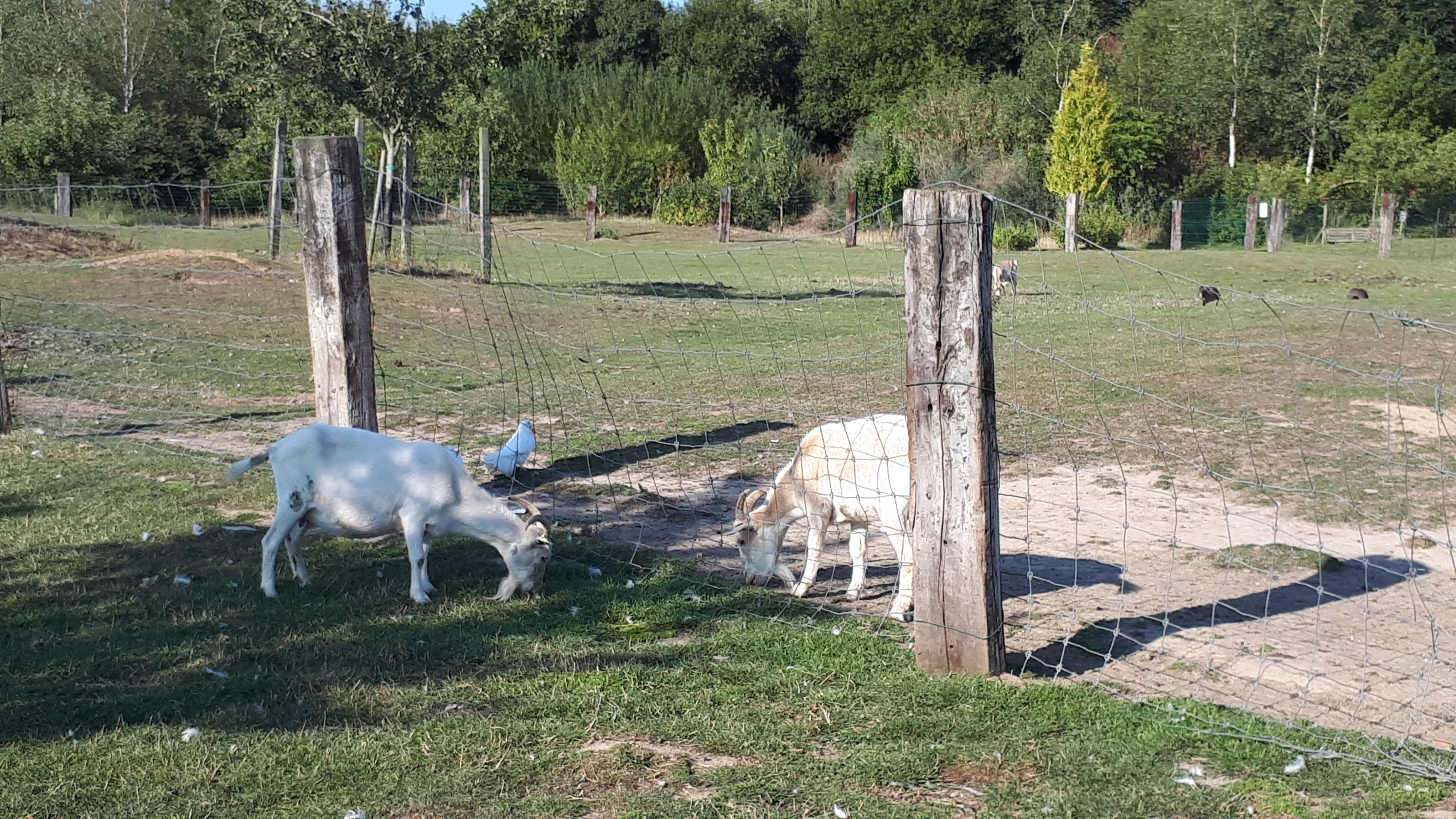 Photo n° 19 de l'avis de Sylvie.u fait le 26/08/2019 à 16:02