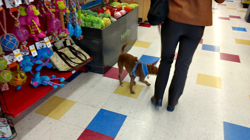 Pet Supply Store «Petco Animal Supplies», reviews and photos, 5850 Sepulveda Blvd, Van Nuys, CA 91411, USA