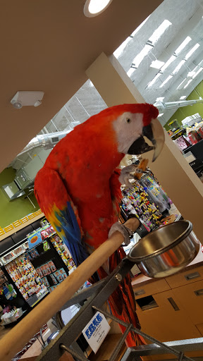 Parrot shops in Seattle