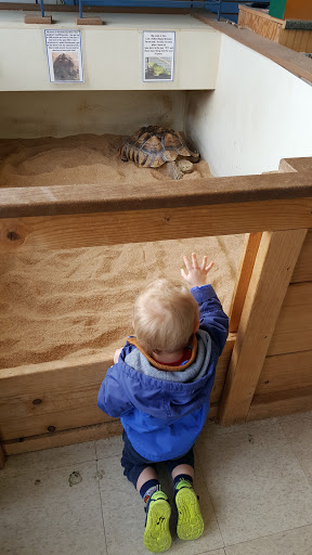 Pet Store «Fins Feathers Paws & Claws», reviews and photos, 436 Main St, Harleysville, PA 19438, USA