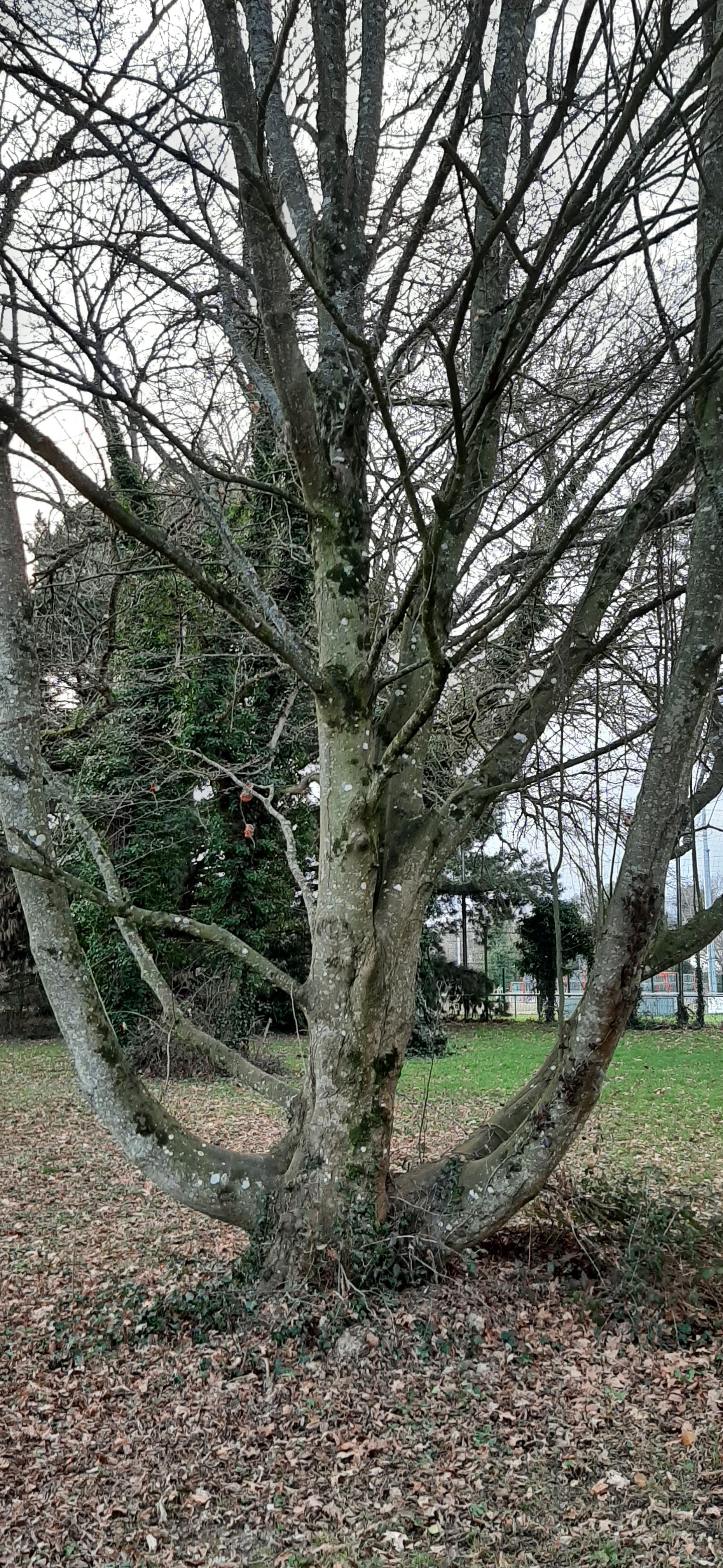 Photo n° 17 de l'avis de balouin.r fait le 11/03/2023 à 00:21