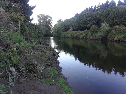 Nature Preserve «Black River Riparian Forest and Wetland», reviews and photos, Oakesdale Ave SW, Renton, WA 98057, USA