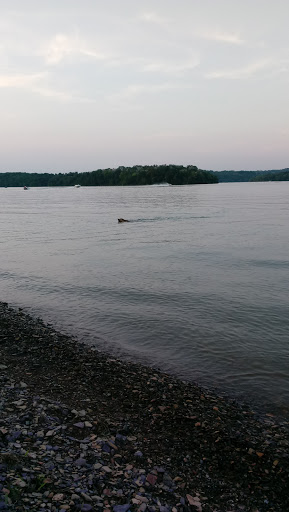 Golf Course «Willow Hollow Golf Course», reviews and photos, 619 Prison Rd, Leesport, PA 19533, USA