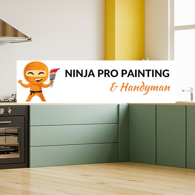 Ninja Pro Painting