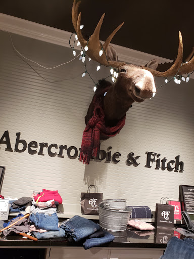 Clothing Store «Abercrombie & Fitch», reviews and photos, 400 Commons Way #244, Bridgewater, NJ 08807, USA