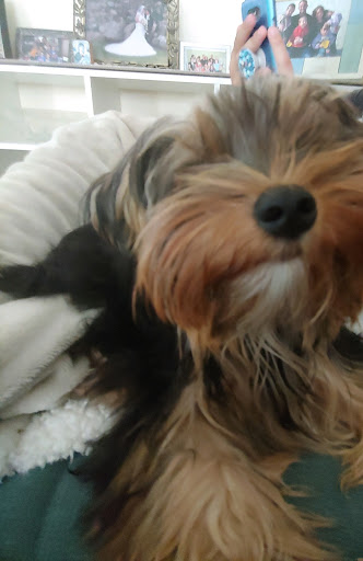 Amusement Center «The Castle Fun Center», reviews and photos, 109 Brookside Ave, Chester, NY 10918, USA