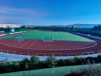 Werner-Seelenbinder-Halle