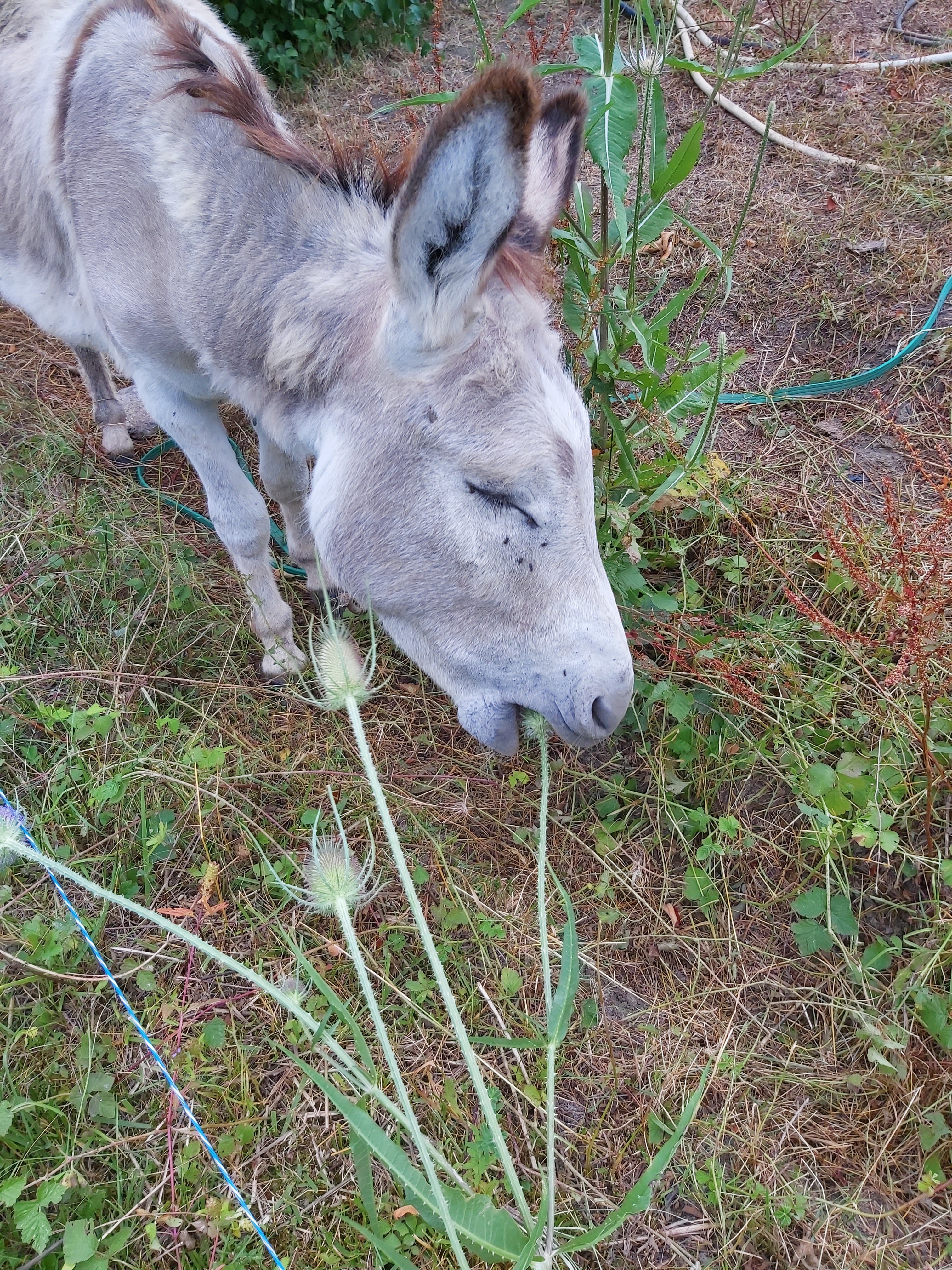 Photo n° 1 de l'avis de marlene.a fait le 26/07/2020 à 20:55