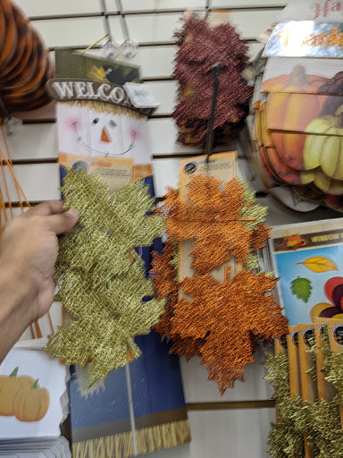 Dollar Store «Dollar Tree», reviews and photos, 147 Pavilion Pkwy, Fayetteville, GA 30214, USA