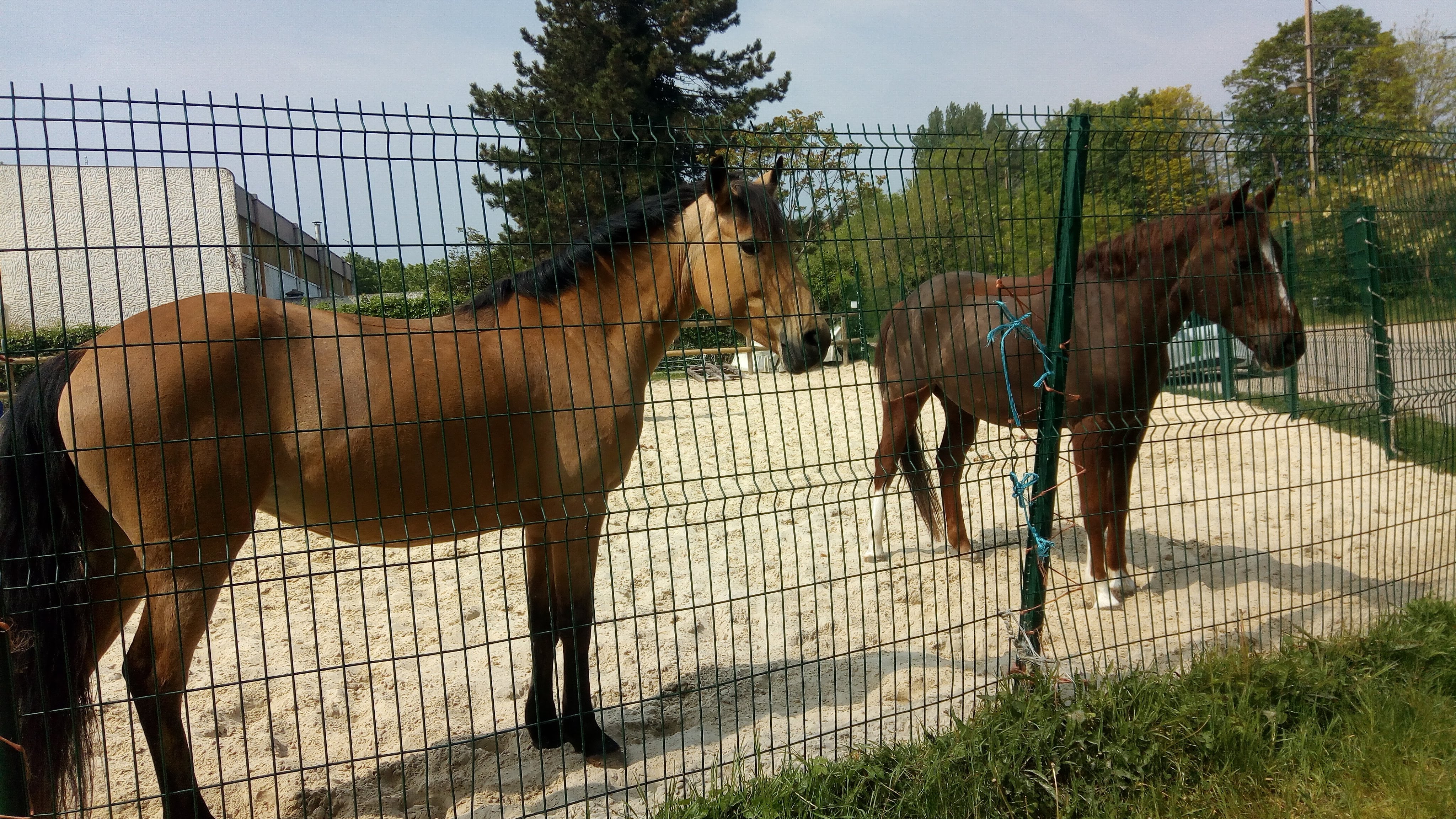 Photo n° 3 de l'avis de Laetitia.r fait le 02/05/2019 à 10:01