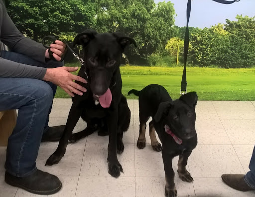 Pet Supply Store «Petco Animal Supplies», reviews and photos, 597 Hebron Rd #2, Heath, OH 43056, USA