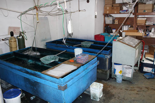 Bait Shop «Clarks Tackle», reviews and photos, 696 I-30 Frontage Rd, Garland, TX 75043, USA