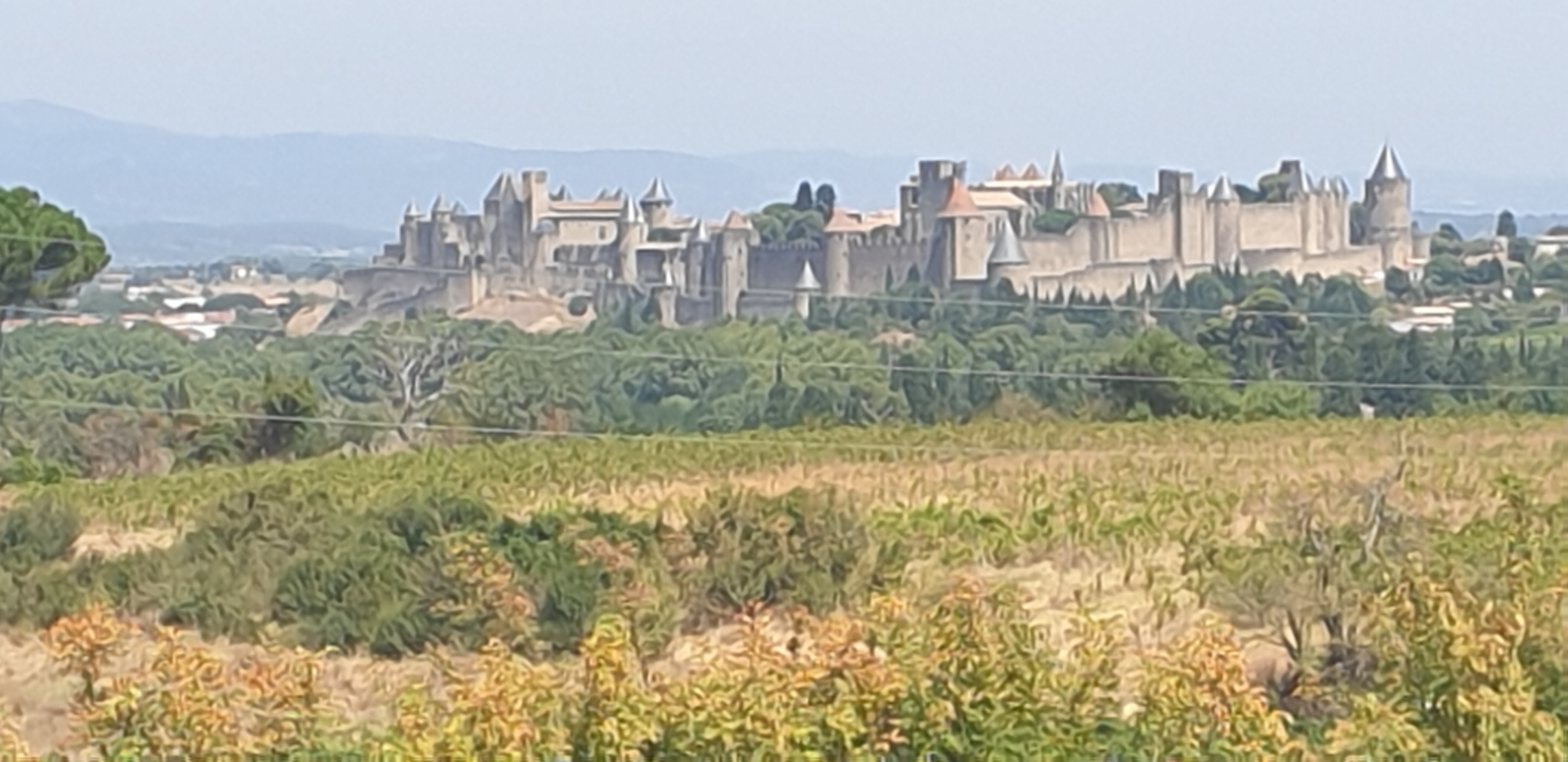 Photo n° 1 de l'avis de David.a fait le 10/08/2020 à 12:39