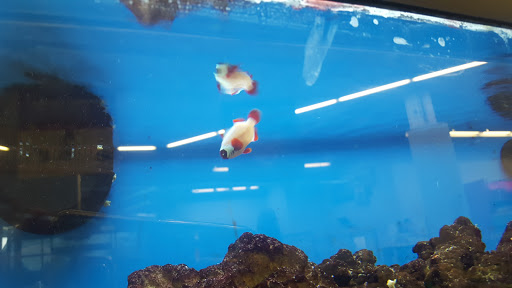 Pet Supply Store «Petco Animal Supplies», reviews and photos, 103 Commerce Way a, Woburn, MA 01801, USA