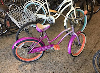 Sunshine Rides Bike Shop - Photo 9 - Car repair in Gulfport, FL, St. Petersburg