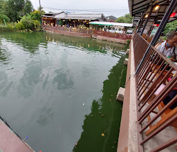 ครัวมัจฉา Krua Matcha photo