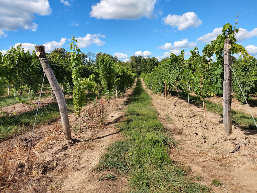 Winery «Hosmer Winery», reviews and photos, 7020 NY-89, Ovid, NY 14521, USA