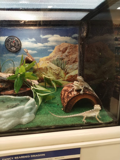 Pet Supply Store «PetSmart», reviews and photos, 67 Consumer Square, Plattsburgh, NY 12901, USA