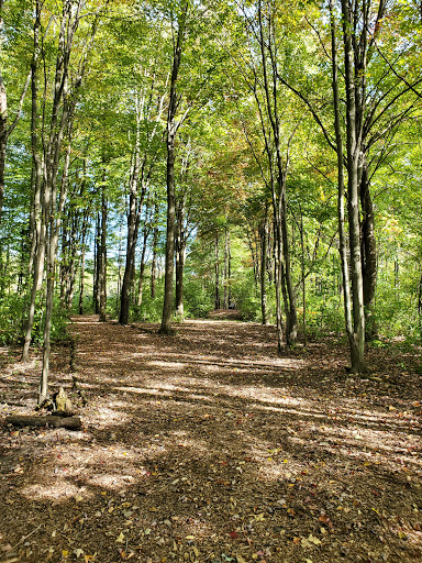 Park «Ira Township Park», reviews and photos, 7085 Meldrum Rd, Ira Township, MI 48023, USA