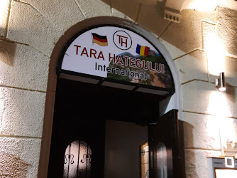 Tara Hategului International