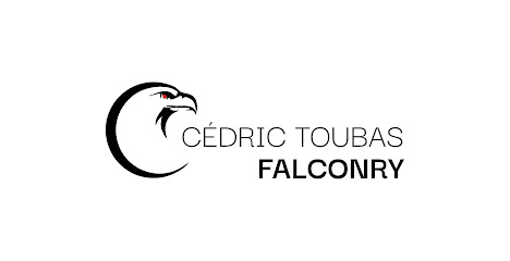 Cédric TOUBAS Falconry