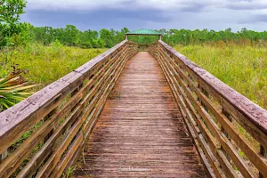 Royal Palm Beach Pines Natural Area image