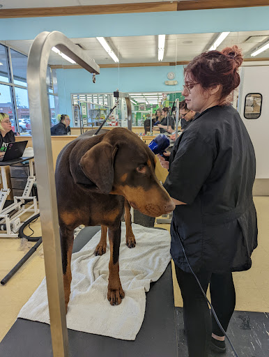 Pet Supply Store «Pet Supplies Plus», reviews and photos, 14839 Detroit Ave, Lakewood, OH 44107, USA