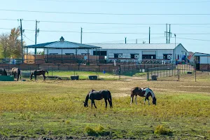 Freedom Acres Ranch image